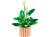 LEGO-11504-Botanicals-Skrzydlokwiat.jpg