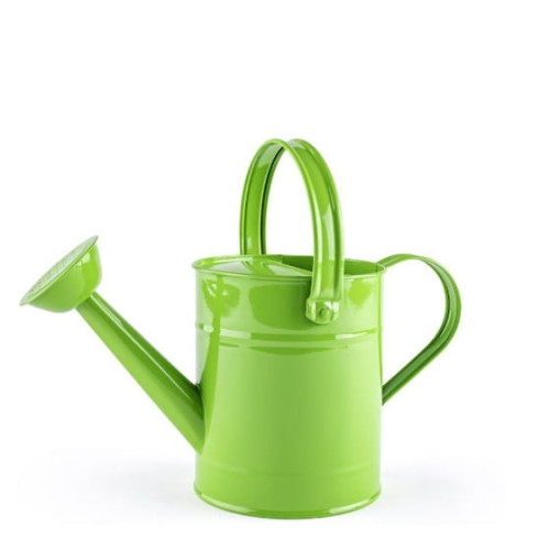 Przejdź do produktu WOODYLAND Konewka metalowa zielona 91473 14739