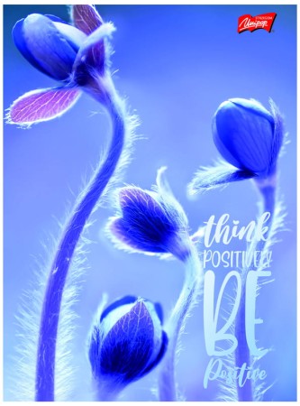 37085bc6e3afa9fa8645fbfb65c6ce5b