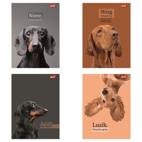 Przejdź do produktu Zeszyt A4 60k kratka laminowany DOGGY MOODS lakierowany