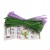 ZEST KREAT KWIATY TULIPAN _2.jpg