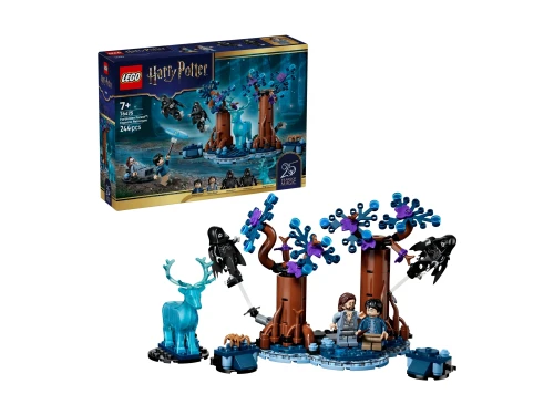 Przejdź do produktu LEGO(R) HARRY POTTER 76475 Zakazany Las