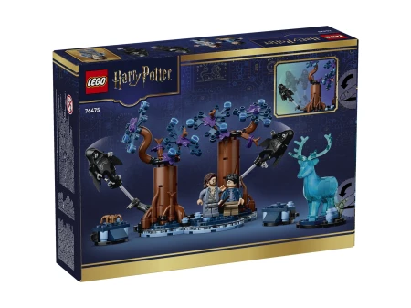 LEGO(R) HARRY POTTER 76475 Zakazany Las 3.webp