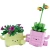 LEGO BOTANICALS Bujające się roślinki 11506 2.webp