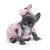 piesek-lily-buldog-francuski-32-cm-asi-0617620.jpg