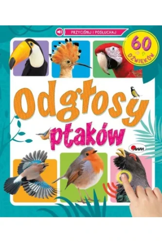 Przejdź do produktu ODGŁOSY PTAKÓW 60 DŹWIĘKÓW książeczka dźwiękowa