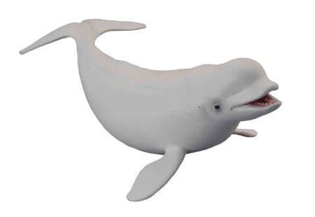 Collecta_88568.jpg
