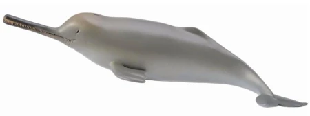 COLLECTA DELFIN Z RZEKI GANGES.jpg