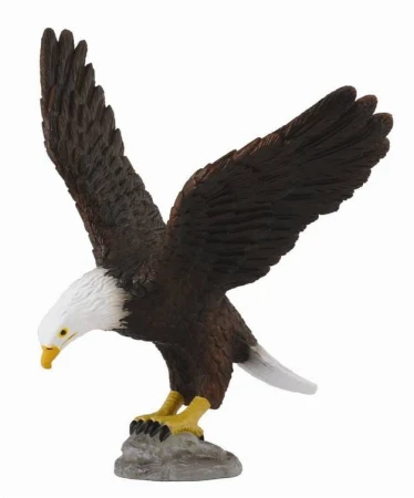 COLLECTA BIELIK AMERYKAŃSKI.jpg