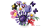 LEGO BOTANICALS Bukiet kwiatów Olivii Rodrigo 11507_3.png