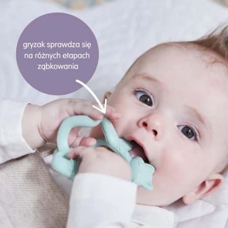 pol_pl_B-box-gryzak-lisek-dla-dzieci-i-niemowlat-Lullaby-Blue-18726_3.jpg