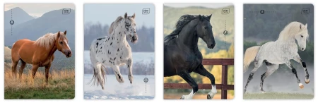 Interdruk Wild Horses A5 16 kartek w trzy linie – zeszyt do nauki pisania z motywem koni.jpg