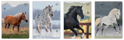 Przejdź do produktu Interdruk Wild Horses A5 16 kartek w trzy linie – zeszyt do nauki pisania z motywem koni
