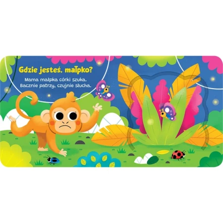 Otwórz okienko! Gdzie jeste, małpko 2.jpg