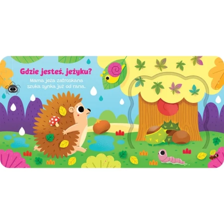 Otwórz okienko! Gdzie jeste, jeżyku 2.jpg
