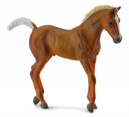 COLLECTA ŻREBIĘ CHESTNUT SPACERUJĄCE 4516.jpg