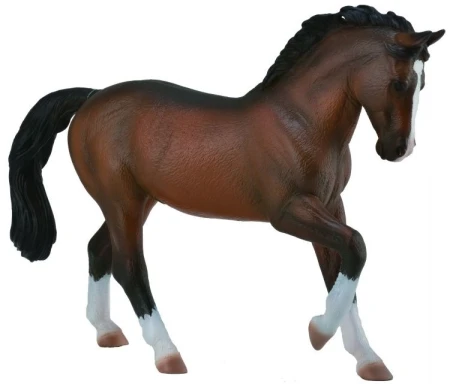 OGIER WARMBLOOD STALLION BAY 8279.jpg