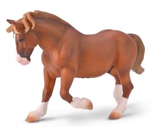 Przejdź do produktu COLLECTA OGIER BRETOŃSKI MAŚCI