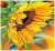 32cdf1d359b70acdfe6b5e730ac3d655