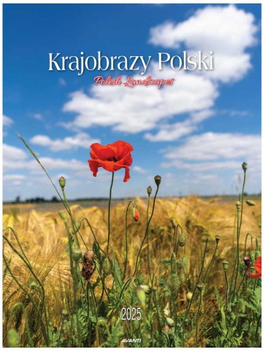 Przejdź do produktu KALENDARZ AV 2025 KSM-1 KRAJOBRAZY