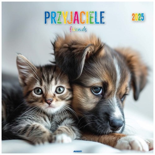 Przejdź do produktu KALENDARZ AV 2025 KD-19 PRZYJACIELE