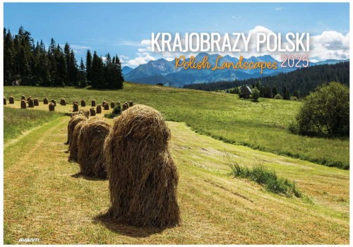 Przejdź do produktu KALENDARZ AV 2025 KA-7 KRAJOBRAZY POLSKI