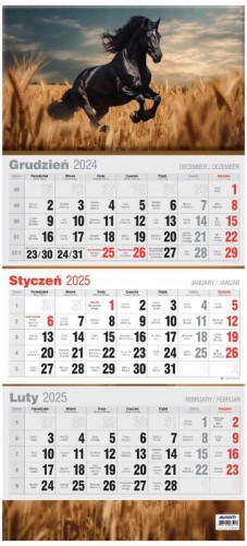Przejdź do produktu KALENDARZ AV 2025 KTT-2 TRÓJDZIELNY
