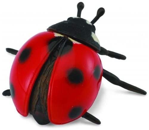 Przejdź do produktu Biedronka. 88474  COLLECTA