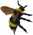 015571d35af051b737415af1febb0013