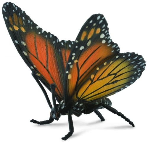 Przejdź do produktu Motyl królewski 88598 COLLECTA