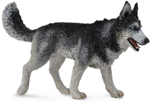 Przejdź do produktu Pies rasy Siberian Husky 88707 COLLECTA
