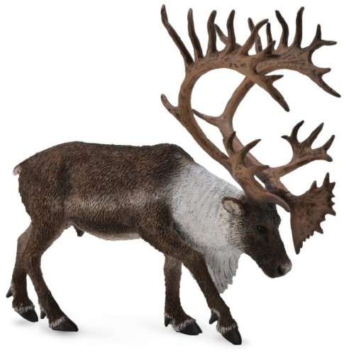 Przejdź do produktu Renifer Woodland Caribou 88709 COLLECTA