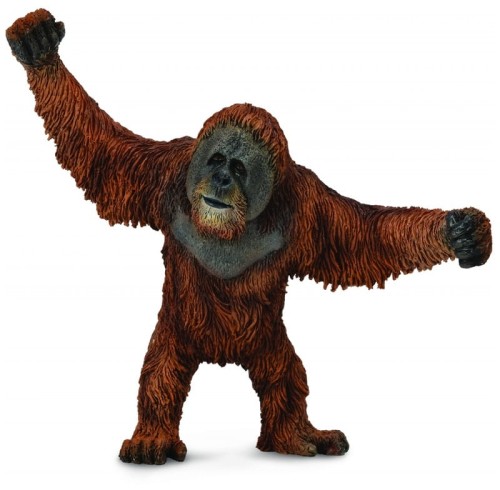 Przejdź do produktu Orangutan 88730 COLLECTA
