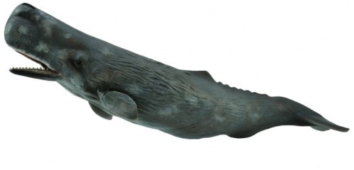 Przejdź do produktu Kaszalot 88835 COLLECTA