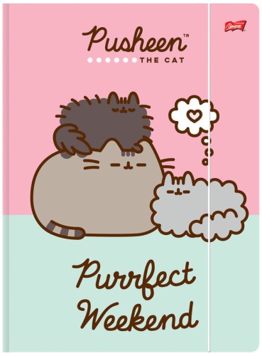 Przejdź do produktu Teczka z gumką A4 PUSHEEN  cena za 1 sztukę