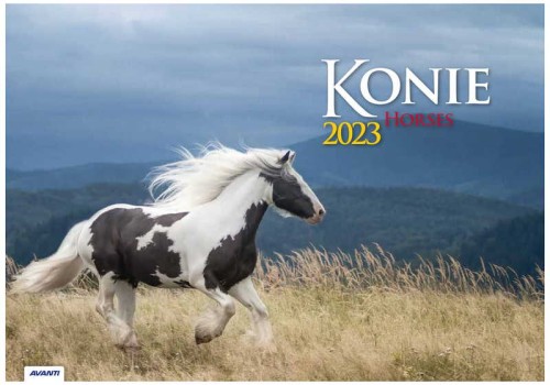 Przejdź do produktu Kalendarz Konie 2023