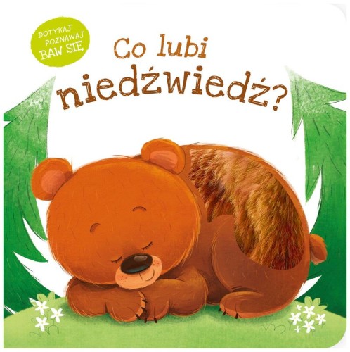 Przejdź do produktu Co lubi niedźwiedź?