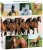 acc67aaac415dcdcb2de7cdf19fc5961