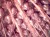 22cbecb4b3955d63ceb750c3c0342180