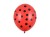 5a564e581defc440cd9ea2bab6e7bd70