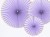 21fd1a864cd31fd297948fe95a38df01