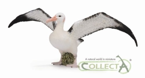 Przejdź do produktu Albatros wędrowny 88765 COLLECTA