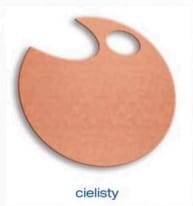 Przejdź do produktu Filc do dekoracji 20x30cm cielisty /5szt/ BAMBINO