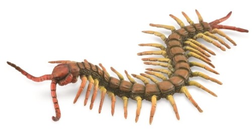 Przejdź do produktu COLLECTA STONOGA 8859