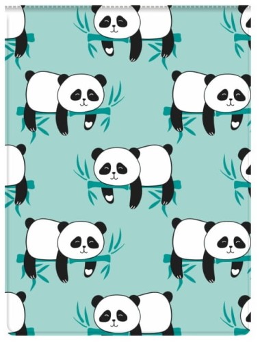 Przejdź do produktu Okładka na dokumenty ucznia pion Panda, Biurfol