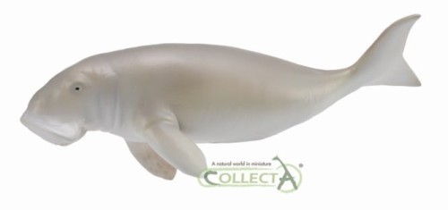 Przejdź do produktu Dugonog Collecta
