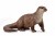 c6b6e55bbd82418bdfca55b457ccc50e