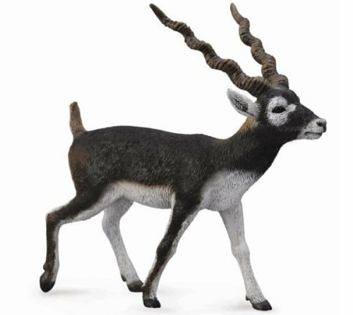 Przejdź do produktu Antylopa Blackbuck 88638 COLLECTA