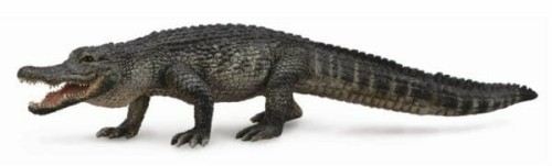 Przejdź do produktu Aligator American 88609 COLLECTA