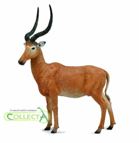 Przejdź do produktu COLLECTA HIROLA